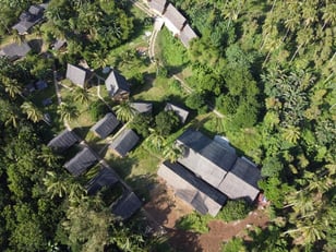 Aerial view of a green rural village